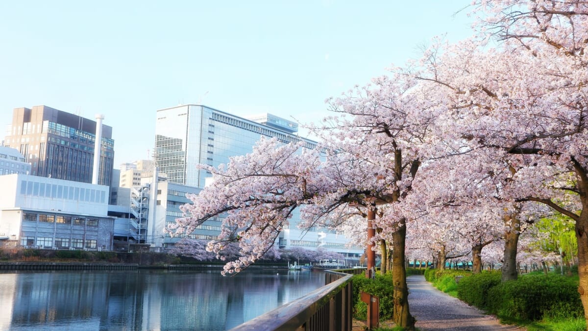 天満駅周辺の住環境について